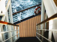 Kunstrasen TEAK PRO - 2,00m x 1,00m